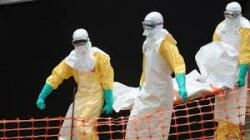 Министры здравоохранения Южной Кореи, Китая и Япония договорились о сотрудничестве по борьбе с вирусом Эбола